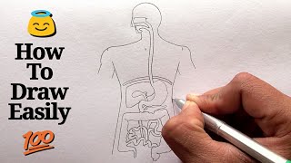 How to draw Human Digestive system step by step for beginners [upl. by Nirag]