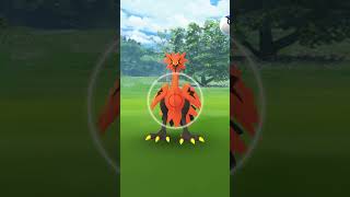 Galarian Zapdos again 😱  New trick  shorts pokemon pokemongo ultragoo galarianbirds galar [upl. by England]