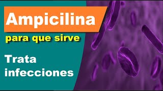 AMPICILINA trata infecciones para que sirve efectos [upl. by Laural]