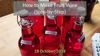 How to Make Fruit Wine Step by Step [upl. by Ahsehat395]