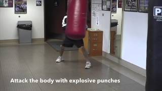 How To Hit The Heavy Bag Pro Mex [upl. by Haiasi]