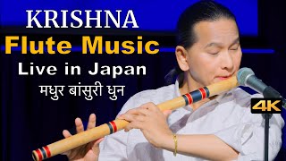 Krishna Flute Music  Relaxing Flute Music  Flute Song  Bansuri  Basuri Dhun  Instrumental Music [upl. by Aihsila]