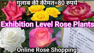 गुलाब कहाँ से खरीदेंHow To Grow And Care Online Rose Plantonlinerose rose gardening flower [upl. by Paynter]