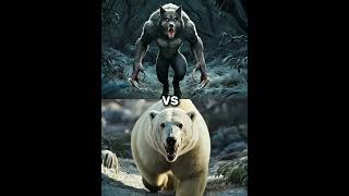 Werewolf vs Polar Bear vs White Animals Lion Tiger Wolf blackpanther king kong Yeti hyena [upl. by Maidie454]