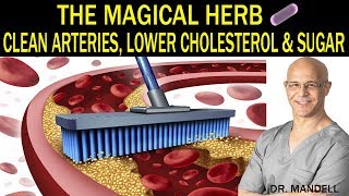 THE MAGICAL HERB THAT CLEANS ARTERIES LOWERS CHOLESTEROL amp SUGAR  Dr Alan Mandell DC [upl. by Stalker]