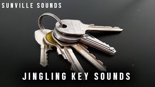 1 Hour of Jingling Keys  Funny Sounds with Peter Baeten [upl. by Athena]