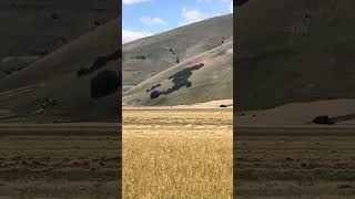 Castelluccio di Norcia – situazione attuale III [upl. by Hanala937]