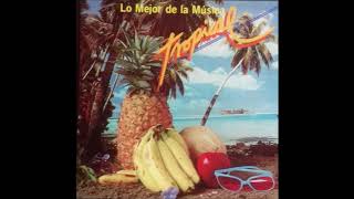 LO MEJOR DE LA MUSICA TROPICAL DEL AÑO 1988 TE ACUERDAS DE ESTAS [upl. by Enialedam]