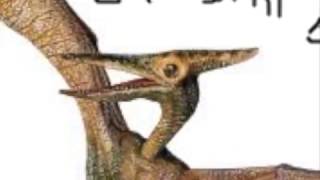 What the Pterodactyl ACTUALLY sounded like [upl. by Lenes42]