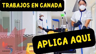 Cuales son los trabajos mas demandados en Canada [upl. by Hessler]