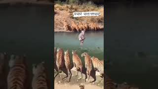 bachane Wala Hai Bhagwan marne wala hai bhagwan🙏😭😲😲shortvideos [upl. by Jaban]