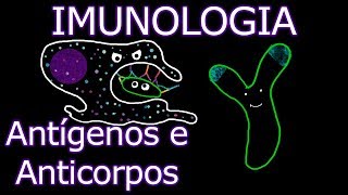 Aula Imunologia  Antígenos e Anticorpos  Imunologia 7 [upl. by Esirehc]