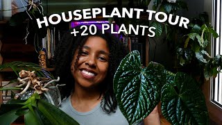 houseplant tour collection 2024 [upl. by Gaeta]