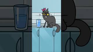 My cats typical day 😺 shorts tedandpet animation [upl. by Ramsa]