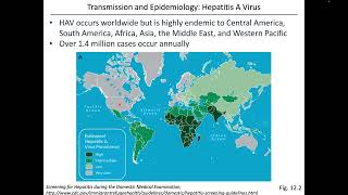 Virology Chapter 12 Part 1 Hepatitis Viruses [upl. by Eendyc]