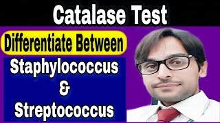 Catalase Test  Procedure of Catalase Test [upl. by Dareece577]