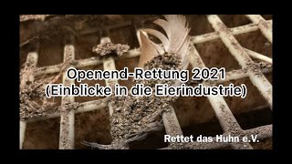 OpenendRettung 2021  Rettet das Huhn eV [upl. by Annaet253]