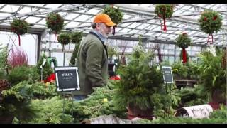 Mahoneys Garden Center Holiday TV Commercial [upl. by Adrienne]