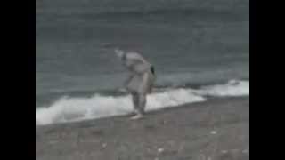 Amazing Killer whale video of attacking and killing a man [upl. by Amuwkuhc900]