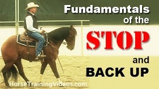 How to Train a Horse to Stop amp Back Up  Basics of sliding stop for reining or cutting [upl. by Negam]