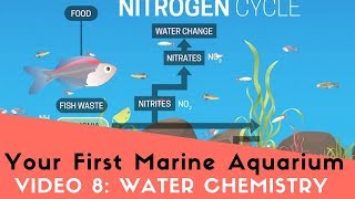 How To Set Up Your First Marine Aquarium Video 8 Nitrogen Cycle RODI Saltwater and Test Kits [upl. by Esej]