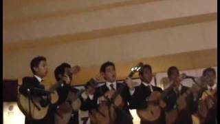 RONDALLA COBACH 01 [upl. by Dabney]