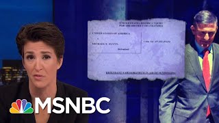 Mike Flynn Asks For No Jail Time Cites FBI Not Warning Him Not To Lie  Rachel Maddow  MSNBC [upl. by Anehsuc647]