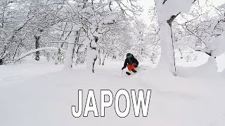 La mejor nieve polvo de Japón Rusutsu JAPOW [upl. by Tomi]