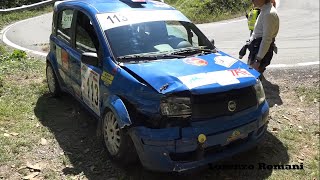 35° Rally Città di Torino 2020  CRASHES amp MISTAKES [upl. by Valerie]