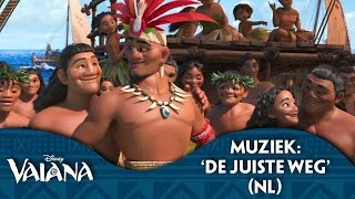 Disney Vaiana  Trailer NL gesproken [upl. by Rosmunda]