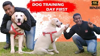 Labrador Puppy Training  Day 1st  Training Session For Beginners in Hindi  ALEXA THE LABRADOR [upl. by Jacobsohn]