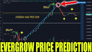 EVERGROW COIN HUGE PRICE TODAY  EGC CRYPTO UPDATE [upl. by Saraann]