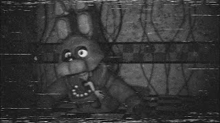 THE MOST TERRYIFING FNAF VHS TAPES YOU WILL EVER SEE [upl. by Irallih]