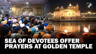 Guru Nanak Jayanti 2023  Sea of devotees offer prayers at Golden Temple in Punjab’s Amritsar [upl. by Hebrew722]