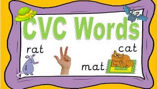 Phonics CVC Words Reading with Phoneme Fingers [upl. by Tumer]