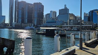 Ferry Pyrmont Bay to Circular Quay Irl live Violets Inspiration Soup Sydney Australia Harbour Bridge [upl. by Landre]