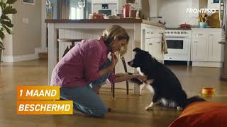 FRONTPRO® Kauwtabletten voor honden [upl. by Andriana]