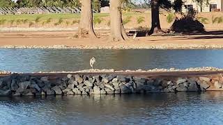 The Mokelumne River [upl. by Davide485]