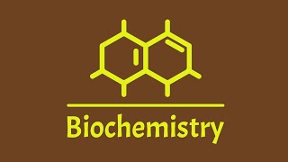 L1 bio RBCs metabolism and heme synthesis [upl. by Lenneuq]