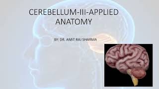 CEREBELLUMIIIAPPLIEDCEREBELLAR SYNDROMELESION OF VERMISREBOUND PHENOMENONDANDYWALKER SYNDROME [upl. by Whalen]