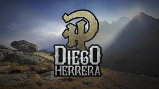 Diego Herrera  La noche larga Video Lyric [upl. by Tierney]