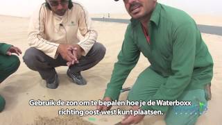 Boom plant instructie film voor antiverwoestijning in Dubai [upl. by Ellison]