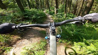 Rostrevor mtb DH Trails [upl. by Allveta]