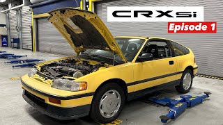 New Project  Restoration on THIS 1989 Honda CRX Si  Ep 1 [upl. by Anoy198]