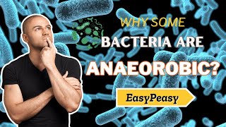 Why Some Bacteria Are Anaerobic Anaerobic Bacteria Survival  Anaerobic Bacteria Growth [upl. by Niletac771]