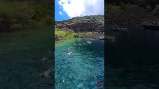 Stunning Drone Footage Discover Kealakekua Bays Hidden Beauty [upl. by Rapsac]