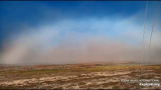 Fogbow Over Cape Churchill Exploreorg July 21 2024 [upl. by Allana]