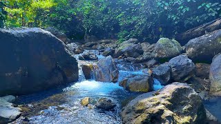 Mountain Waterfall Flowing Water White Noise for Sleep Meditation Study ASMR [upl. by Susejedesoj]