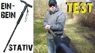 Einbeinstativ Camlink CLCMP1 Mono pod Hama Alpenstock TestReview №061 [upl. by Tioneb]