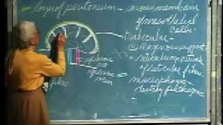 Integrative Biology 131  Lecture 18 Lymphatic System [upl. by Ylenaj]